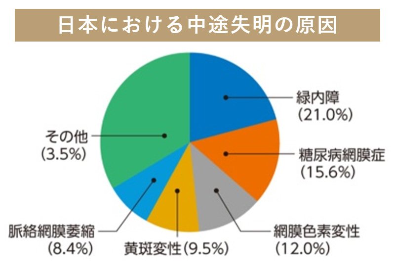 日本における中途失明の原因