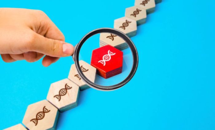 白内障は遺伝する？先天性白内障の特徴と遺伝の仕組みを解説